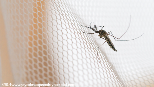 Metode Ampuh Mencegah Gigitan Nyamuk